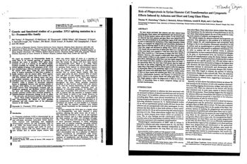 test_scientific_publication_cd20169e-634b-4e51-a073-0ba25cb09bc5___train_scientific_publication_bd1d1470-c042-4414-ab12-5b6128c5374a.jpg