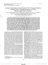 train_scientific_publication_042636b0-2d41-4dac-be8f-7fc6d67b8291.jpg