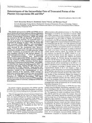 train_scientific_publication_3a0cd0b8-1d05-4030-9bc7-68c9672b7bd3.jpg