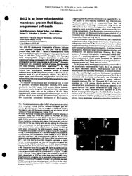 train_scientific_publication_3ad21148-b61d-4ca7-92aa-d0b41fad6741.jpg