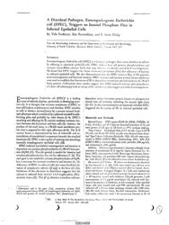 train_scientific_publication_3c7584c9-8603-441d-8902-08466510f2d9.jpg