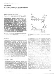 train_scientific_publication_4b614cfa-e354-43fd-8b73-f77353691ec7.jpg