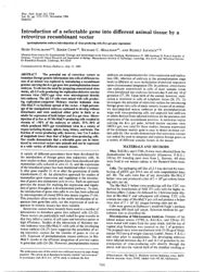 train_scientific_publication_58a6190f-42b9-4de3-af69-145805e9f707.jpg