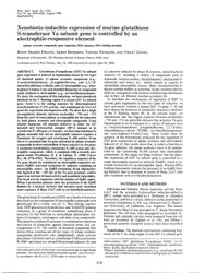 train_scientific_publication_6cda1527-06a3-4488-8416-77c26977eec4.jpg