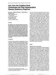 train_scientific_publication_71017d2e-a88e-41ff-8d0e-e12507f66888.jpg