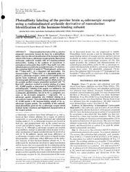 train_scientific_publication_72684517-cce7-4b55-9b80-6b017ff27377.jpg