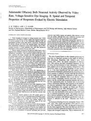 train_scientific_publication_7c35a3c0-5005-495e-bae5-e130c2217918.jpg
