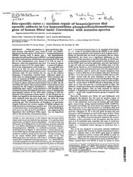 train_scientific_publication_84519cb9-5d74-4fb3-96ff-6249828057db.jpg