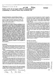 train_scientific_publication_8ecb5bd8-37a3-4365-8313-18ffef6524ab.jpg