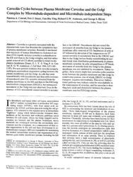 train_scientific_publication_900e63f2-a19c-4d01-98d0-d2b03def586e.jpg