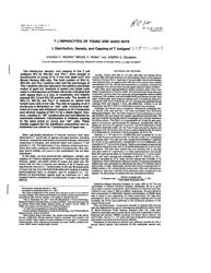 train_scientific_publication_b0475ce2-c06e-4b88-843d-b5eddc61020a.jpg