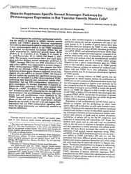 train_scientific_publication_b9b96dfb-f5b5-479e-8b79-bfdc68e56e32.jpg