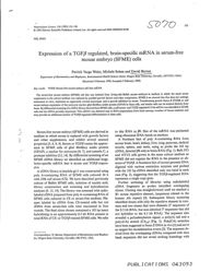 train_scientific_publication_cd4c194e-a04a-451e-a912-ed919bee6c27.jpg