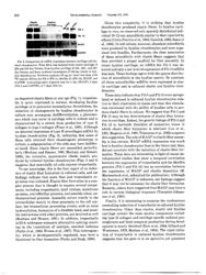 train_scientific_publication_e042906f-1b31-4377-96b6-f1a63bfa046c.jpg