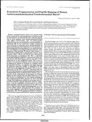 train_scientific_publication_e089a18e-cecc-49ed-99c4-4b9237477053.jpg