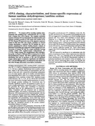 train_scientific_publication_fb1ccaa4-1477-42f2-87b3-d81f2351b7d3.jpg