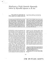 val_scientific_publication_1184c3e9-622a-4ba8-92b4-ff38157597d3.jpg