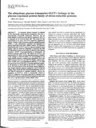 val_scientific_publication_223025da-e973-4049-8071-5f82599b8fe1.jpg