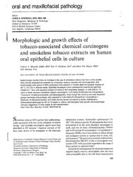 val_scientific_publication_22c80b15-05b0-4b5e-a566-f5a18668fc3f.jpg
