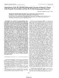 val_scientific_publication_27a12882-1176-4249-9cf1-44d300daf71c.jpg