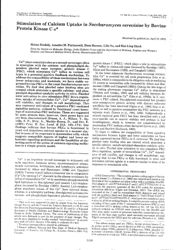 val_scientific_publication_358f052b-f4ec-4bc0-af0a-15eabd955129.jpg