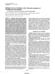val_scientific_publication_38d05aee-8f49-4cdf-90cb-3575d9fb0644.jpg