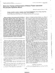 val_scientific_publication_562c8816-e431-4b7d-8430-be09c83d87a1.jpg