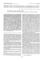 val_scientific_publication_78acfb2b-4499-4b4f-9508-6e84bd6fa988.jpg