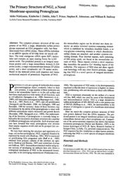 val_scientific_publication_8c28f07e-5207-49ec-9e3c-a1d9c45d51eb.jpg