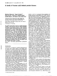 val_scientific_publication_a64af557-c9a5-4df1-8be8-7cb4fb27d747.jpg