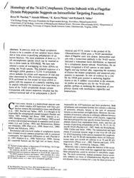 val_scientific_publication_eb187d11-2481-4c93-adc4-954a23af8223.jpg