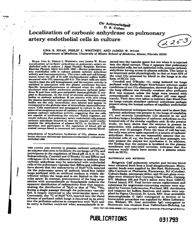 val_scientific_publication_eea91d51-d638-401d-af94-d193ffd350a6.jpg